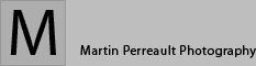 Martin Perreault Fetish & Glamour Photography