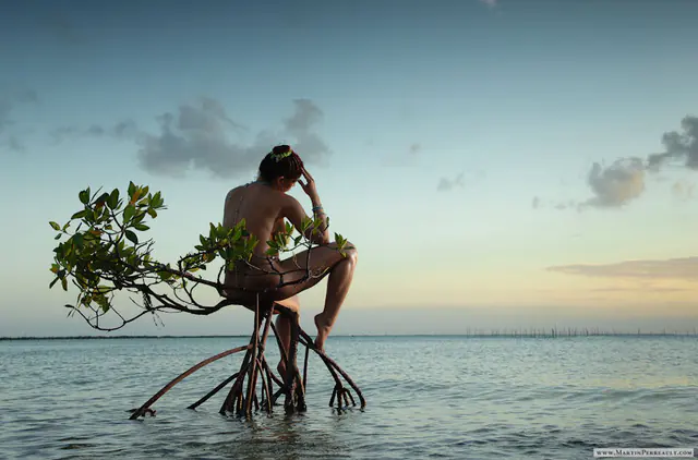 A model seated on mangrove roots in the sea