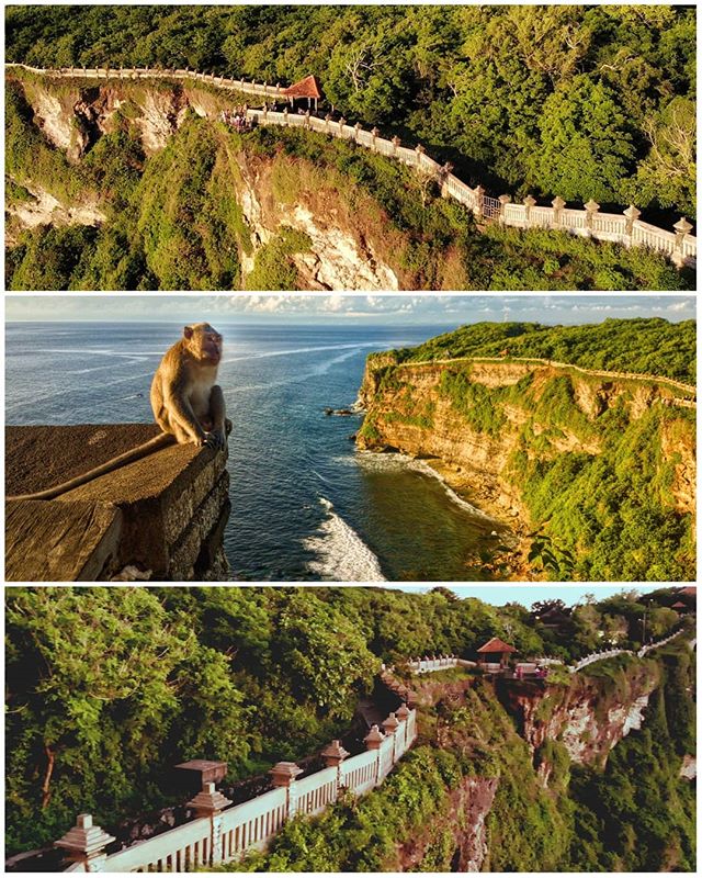 A monkey is meditating at Uluwatu Temple in #bali