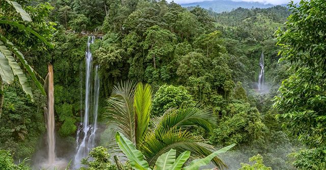 #sekumpul #waterfall #sekumpulwaterfall #bali #wonderful ?